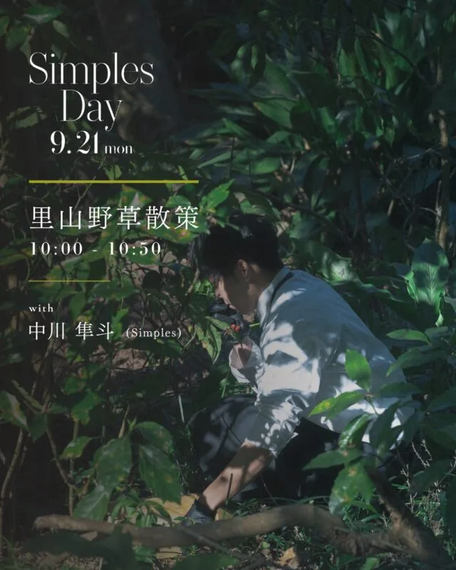 Simples — photo 4