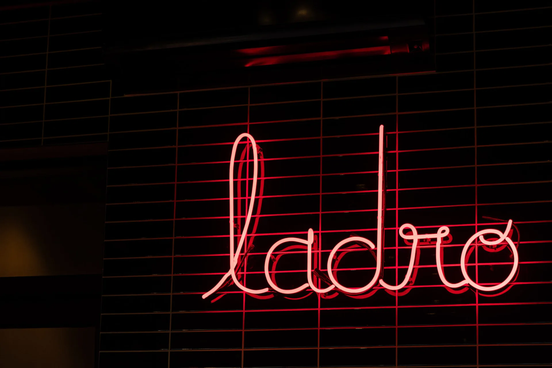 Ladro — photo 86