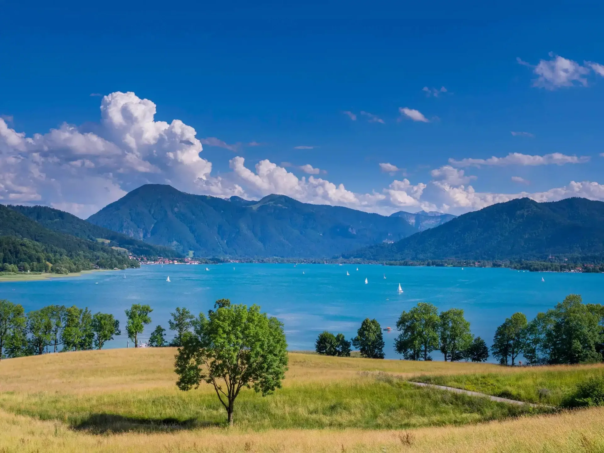 Schlosswirtschaft Tegernsee — photo 98