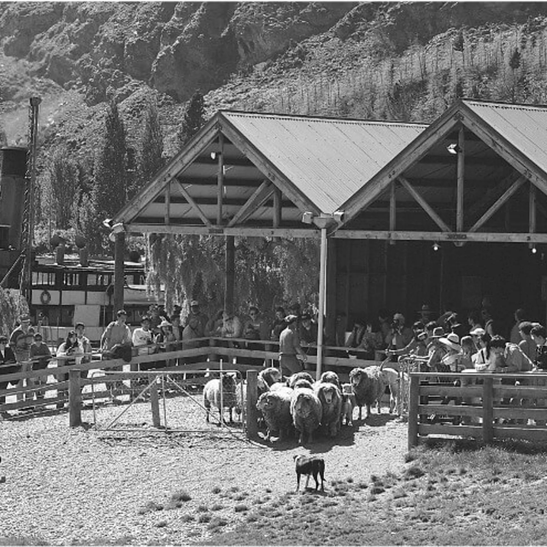 Walter Peak Station — photo 25