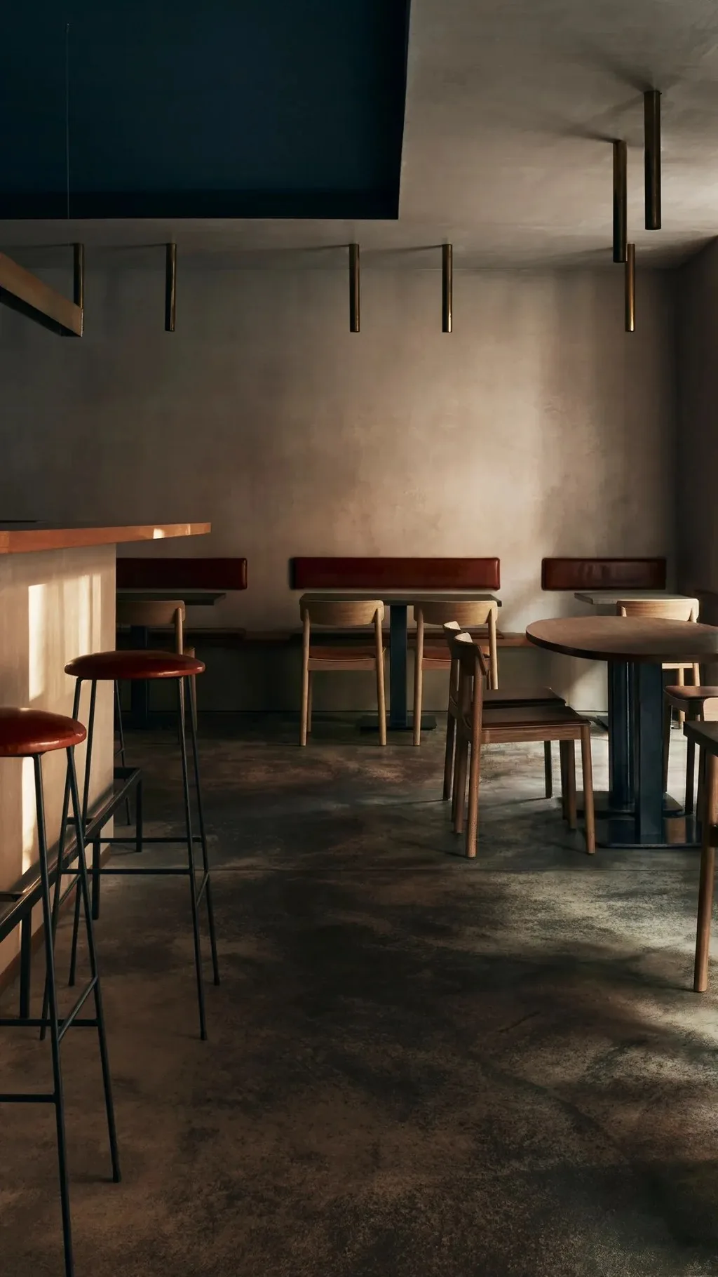 Coda — photo 13