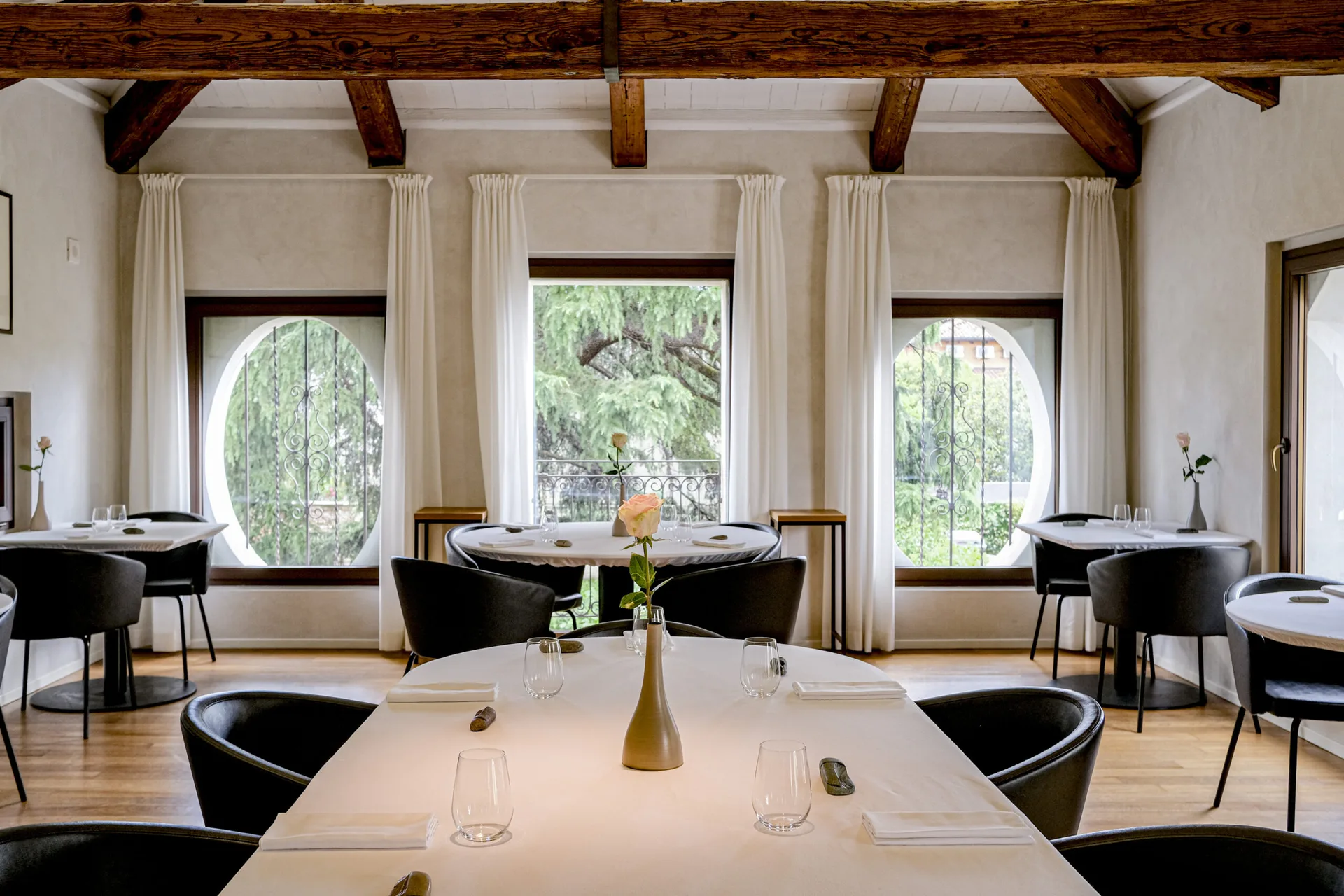 Feva — photo 6