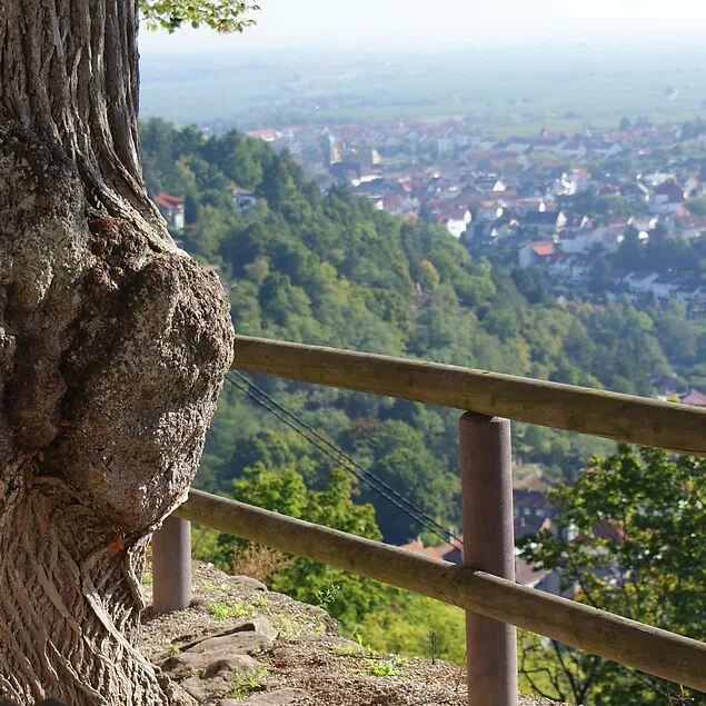Pfälzer Stuben — photo 22