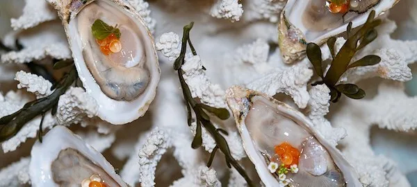 Catch at St. Regis — photo 11