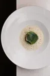 Human — food