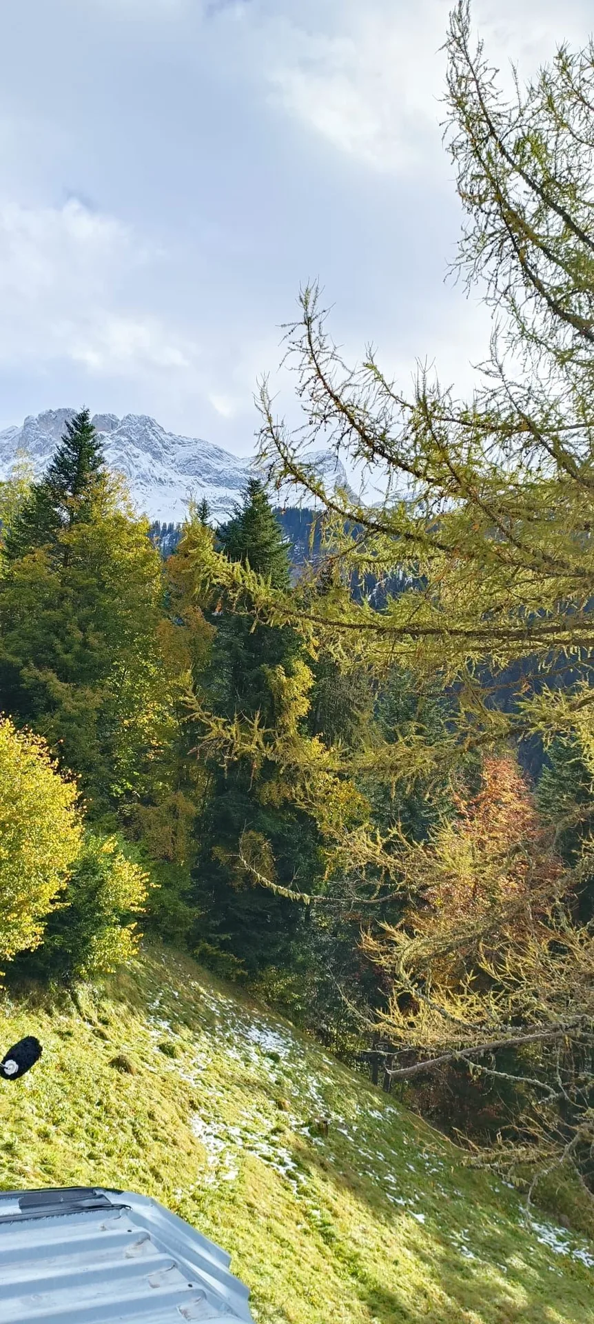 L'Ancolie — photo 8