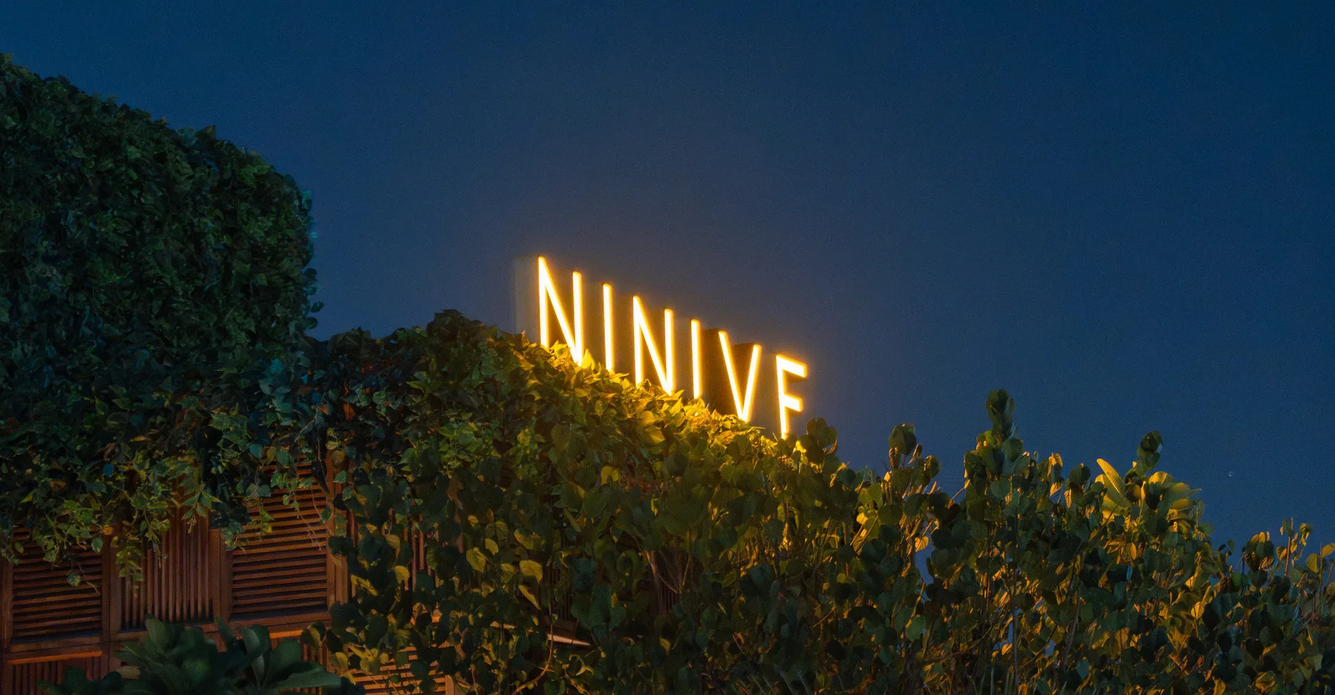 Ninive — photo 21