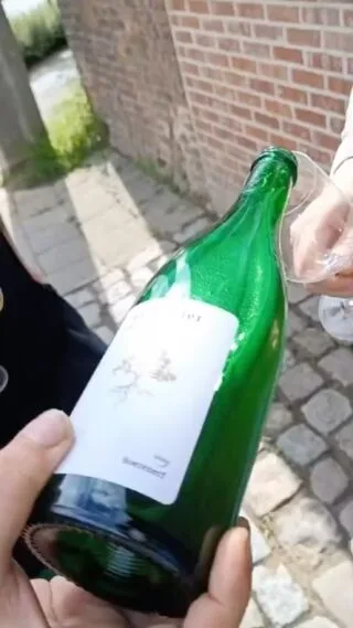 Bruut — drink