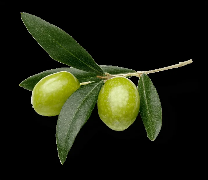 Meridia — food