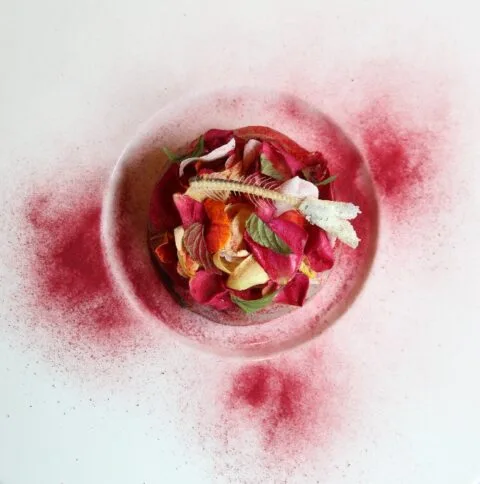 Pierre - Trattoria Sartoriale, Treviso