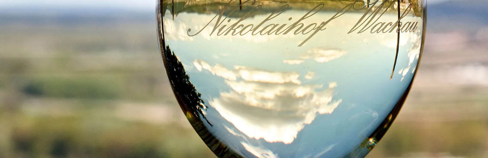Nikolaihof — drink