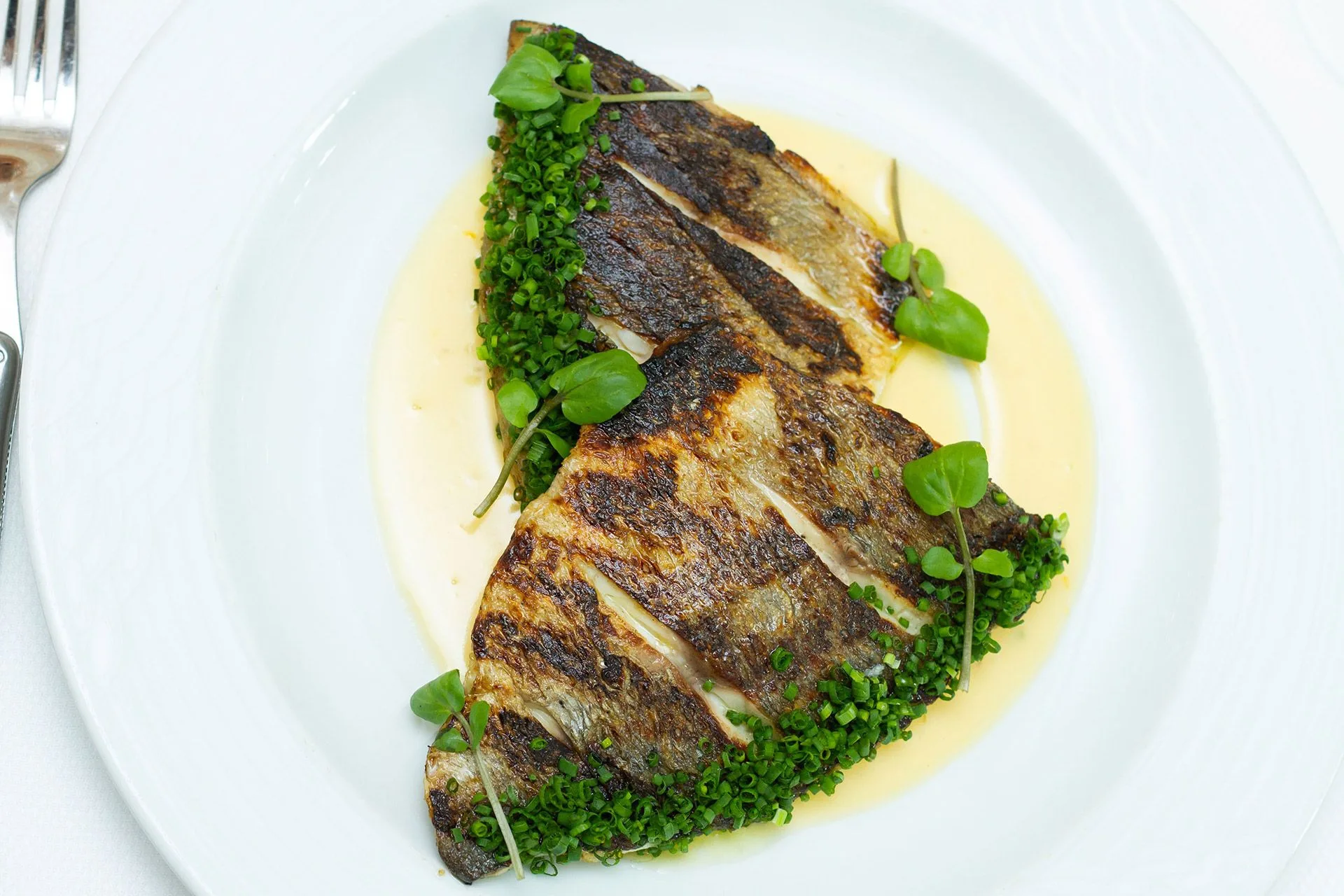 Sails Restaurant — food