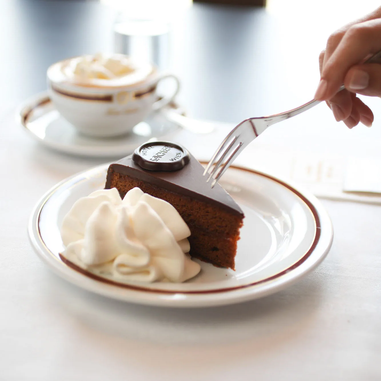 Sacher – Restaurant „Rote Bar“ — photo 21