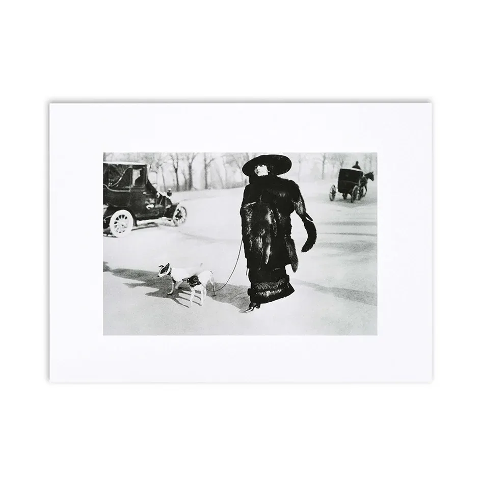Portfolio — photo 6