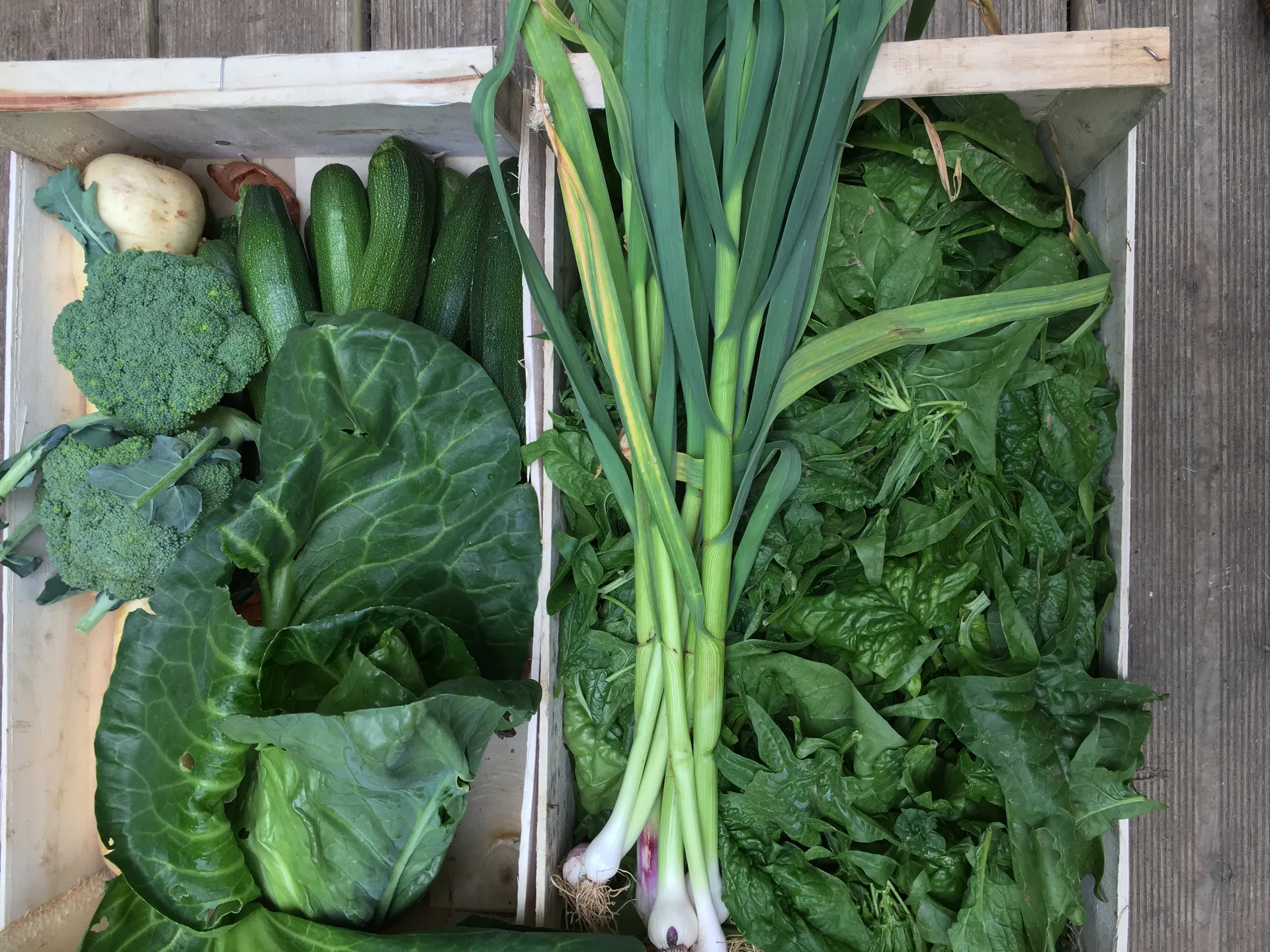 La Table de Flore — photo 13