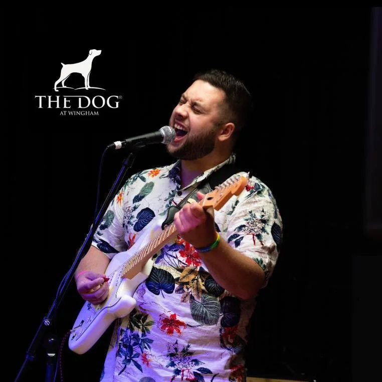 The Dog at Wingham — kitchen