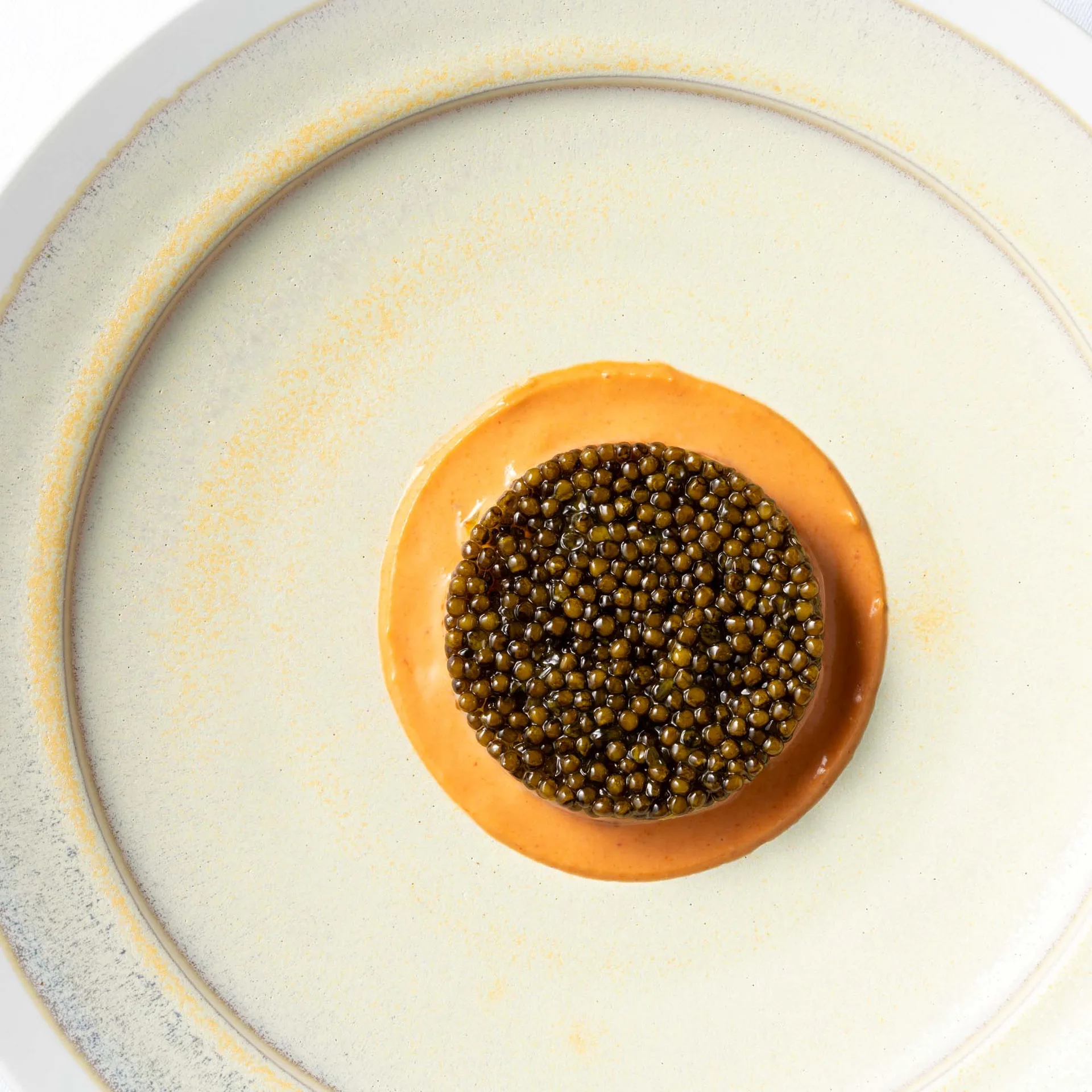 BEIGE Alain Ducasse — photo 15