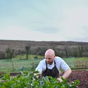 Gregans Castle Restaurant — photo 12