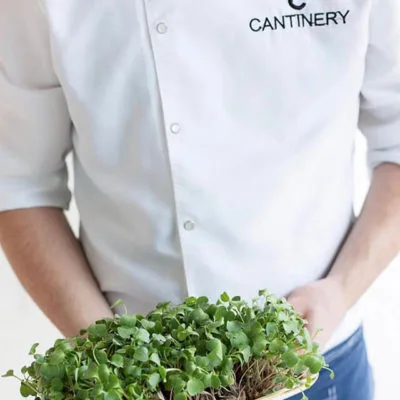 Cantinery — kitchen