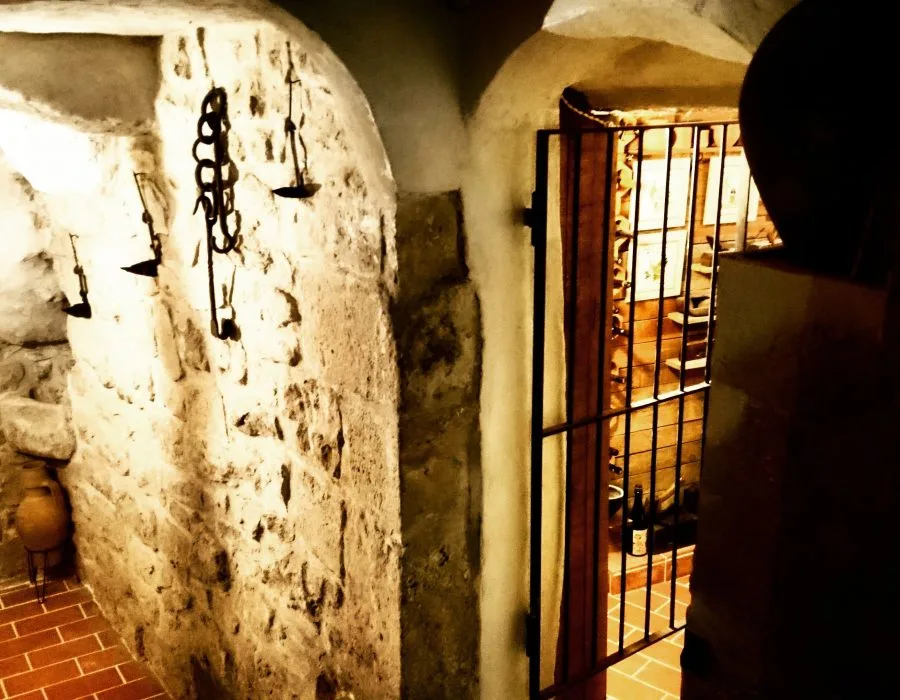 Benet — photo 22