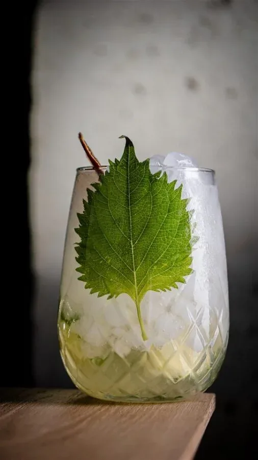 KA-ORŪ SUSHIBAR & COCKTAIL — photo 12