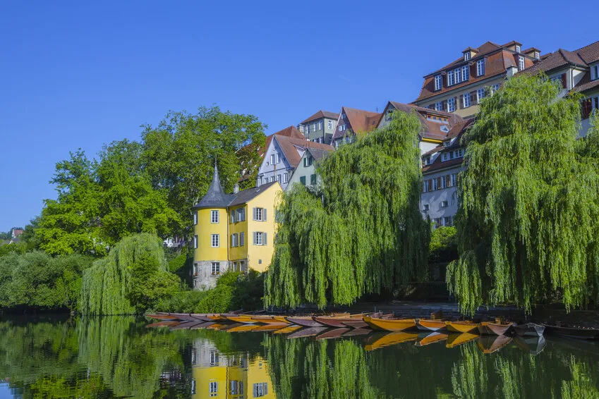 Landgasthof Mayer’s Waldhorn — photo 9
