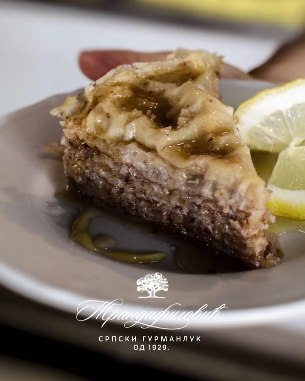BISTRO TRANDAFILOVIĆ — photo 34