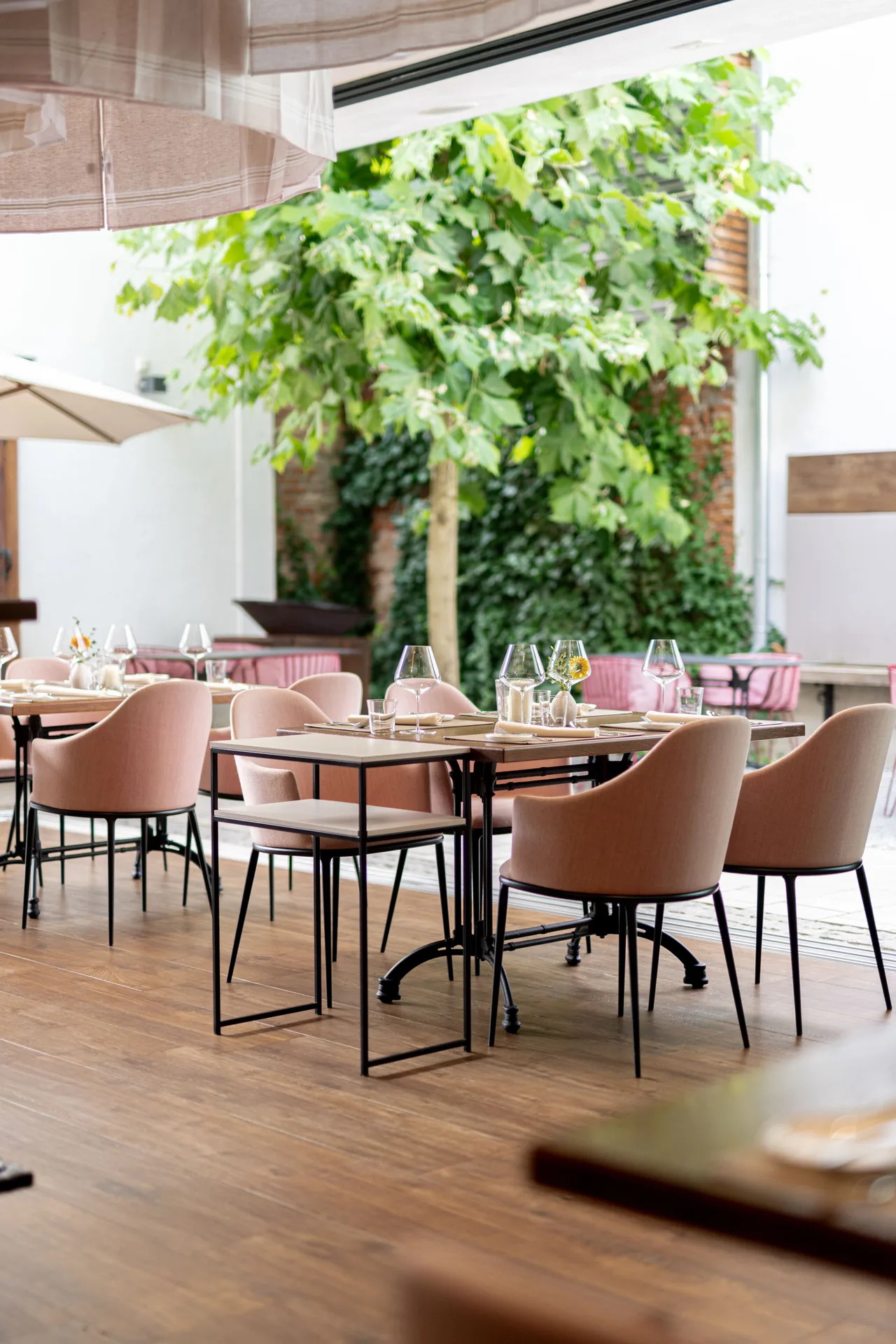 Lilli Fine Dining — photo 15