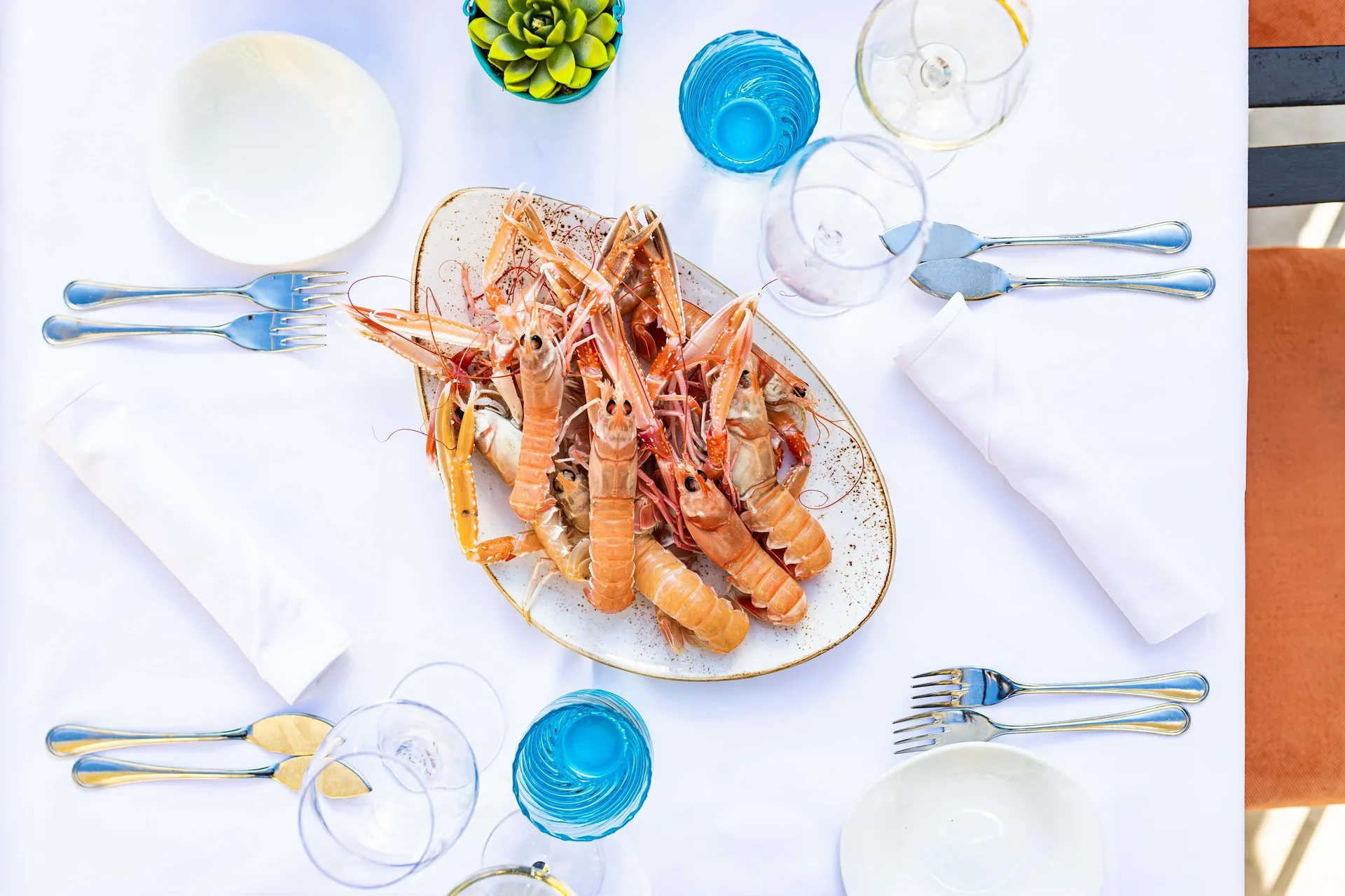 Plavi podrum — food