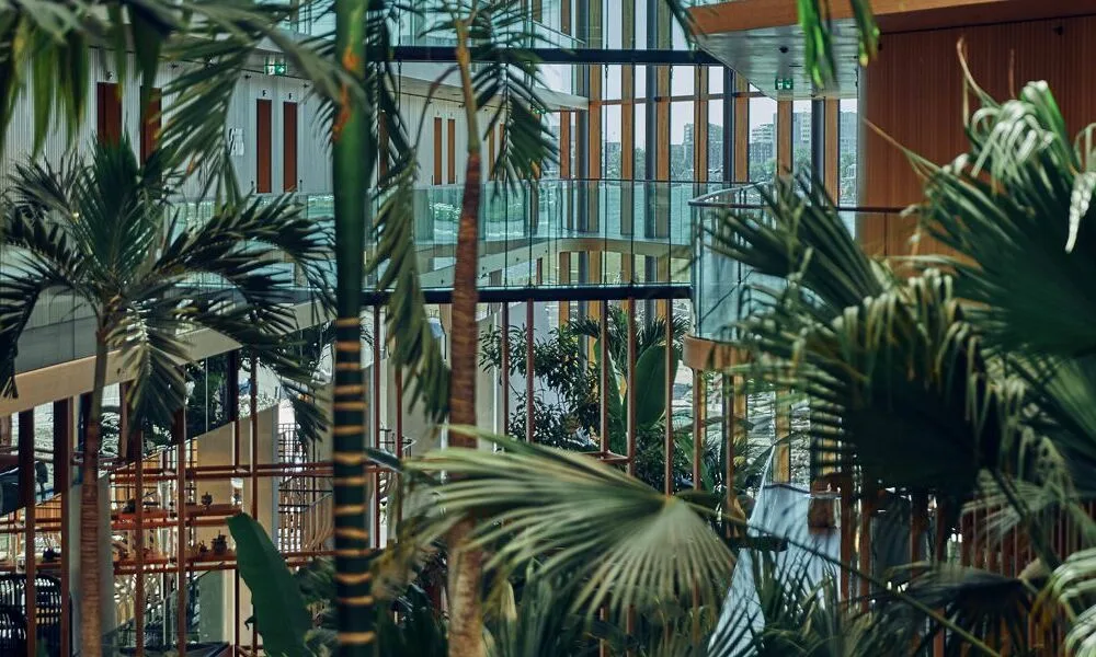 Restaurant élevé — photo 30