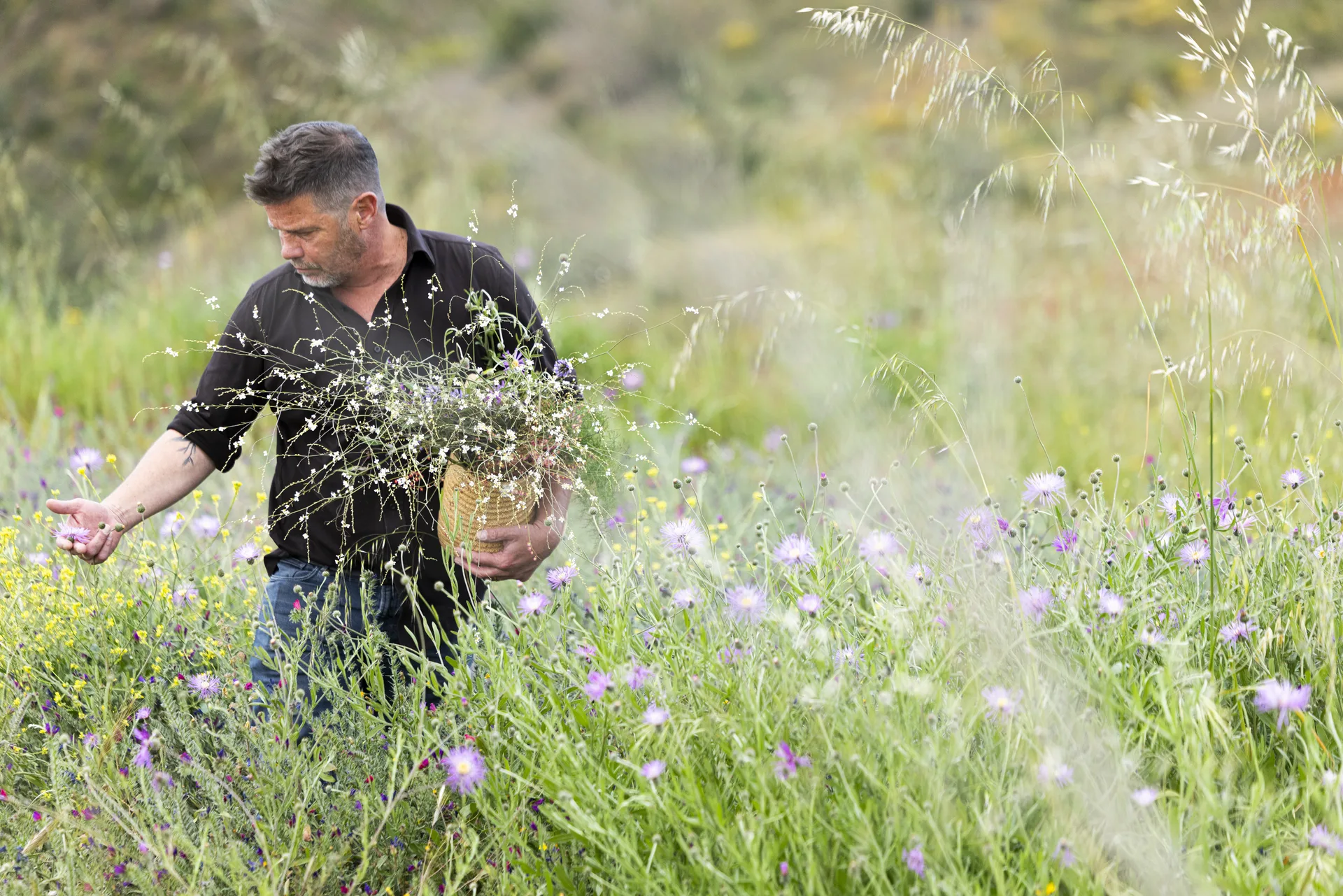 Blossom — photo 14