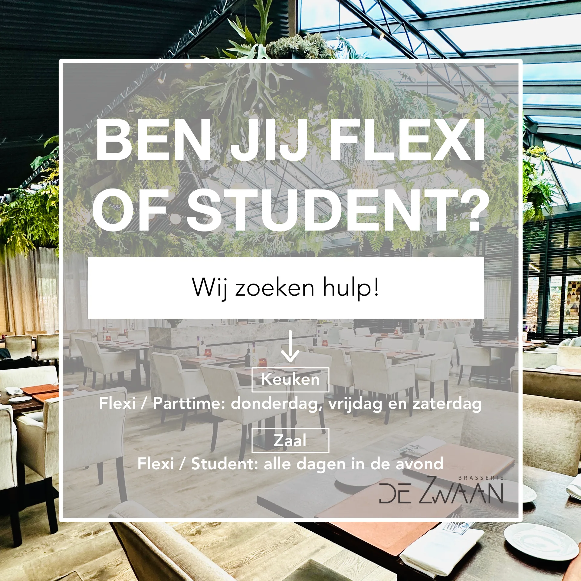 De Zwaan — photo 34