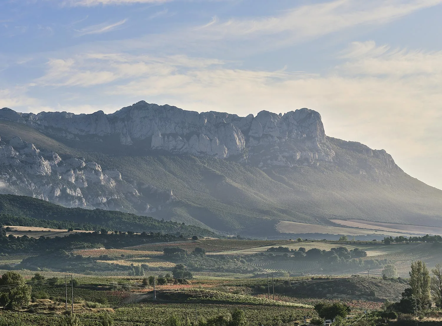 Tierra y Vino — photo 9