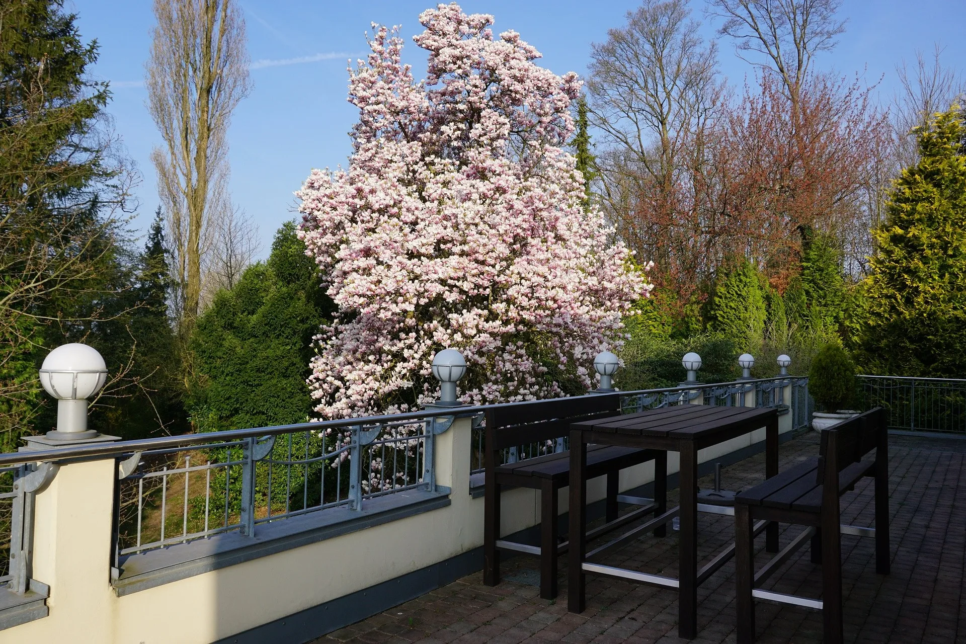 Borgböhmer's Waldesruh — photo 17