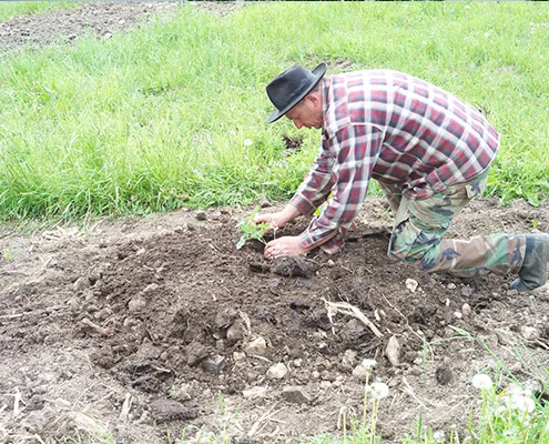 Eigensinn Farm — photo 4
