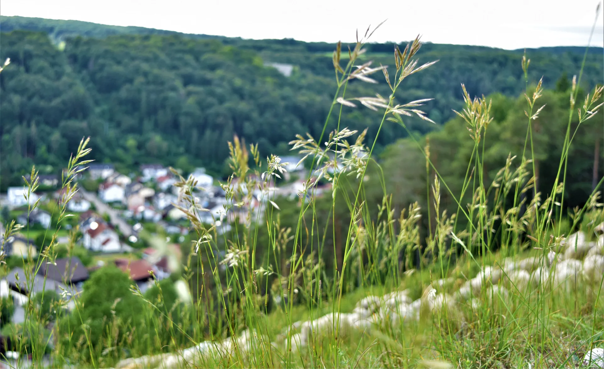 Gasthof Zum Bräu — photo 33