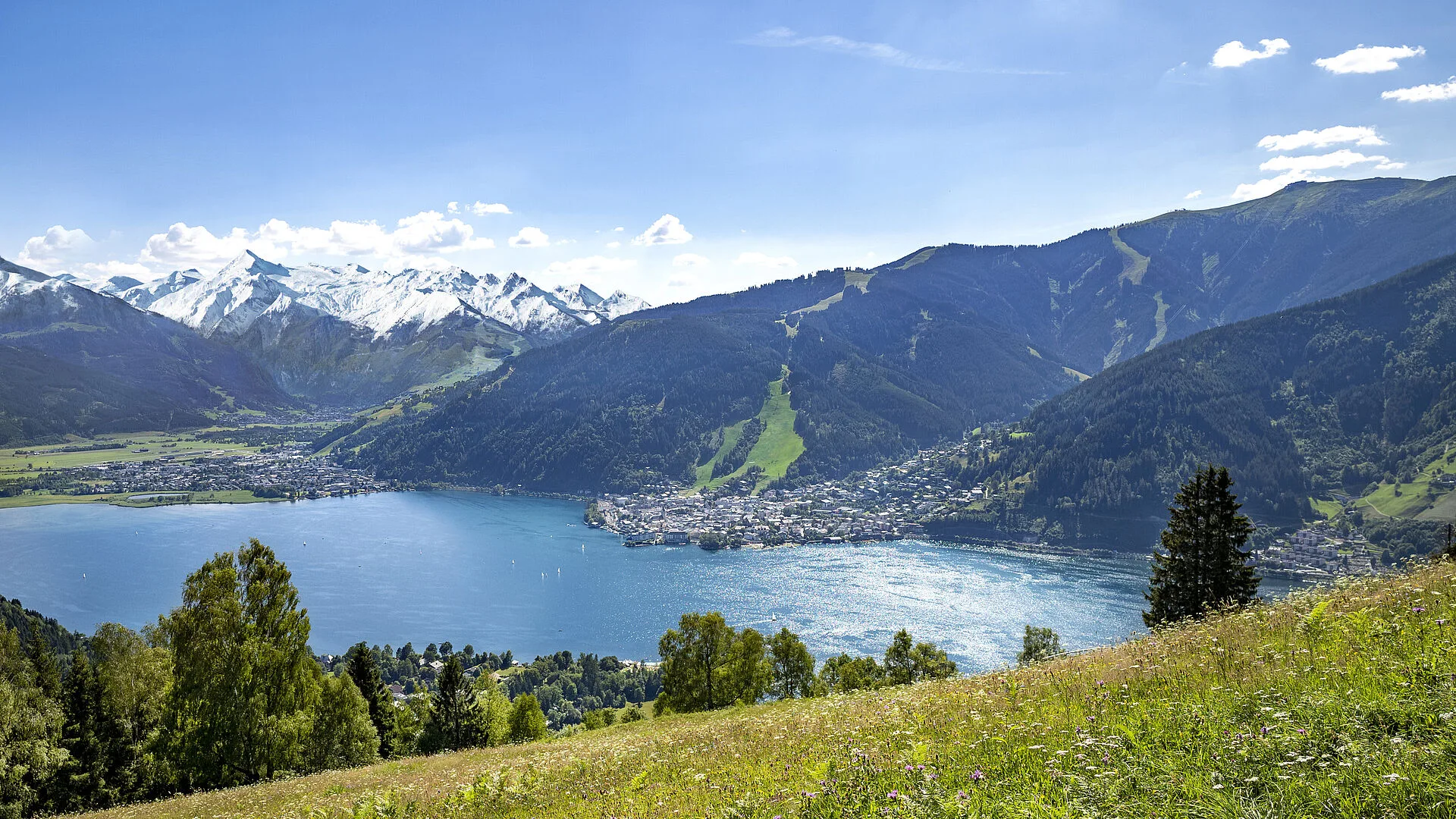 Salzburger Stube — photo 13