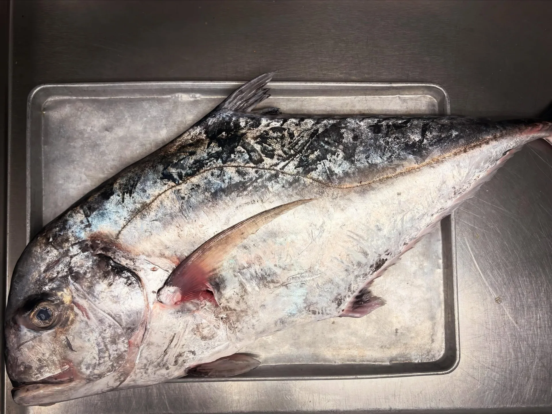 Hot and Hot Fish Club — photo 25