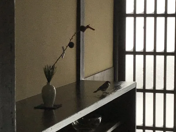 WATAYA — photo 21
