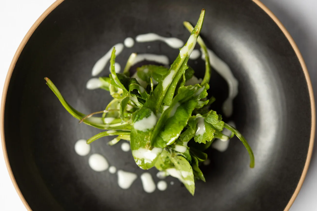 Osteria Ophis — food