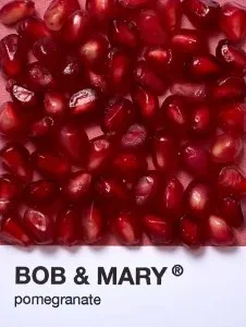 Bob &amp; Mary — photo 4