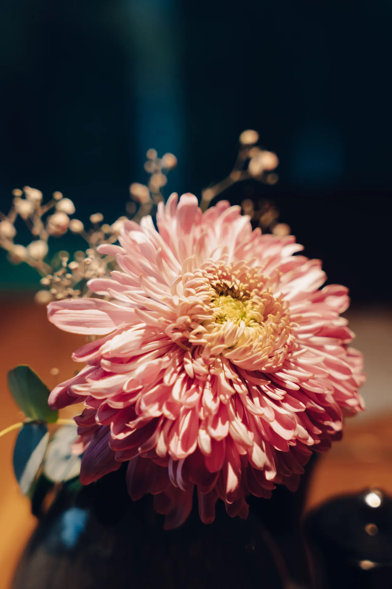 Euphemia — photo 10