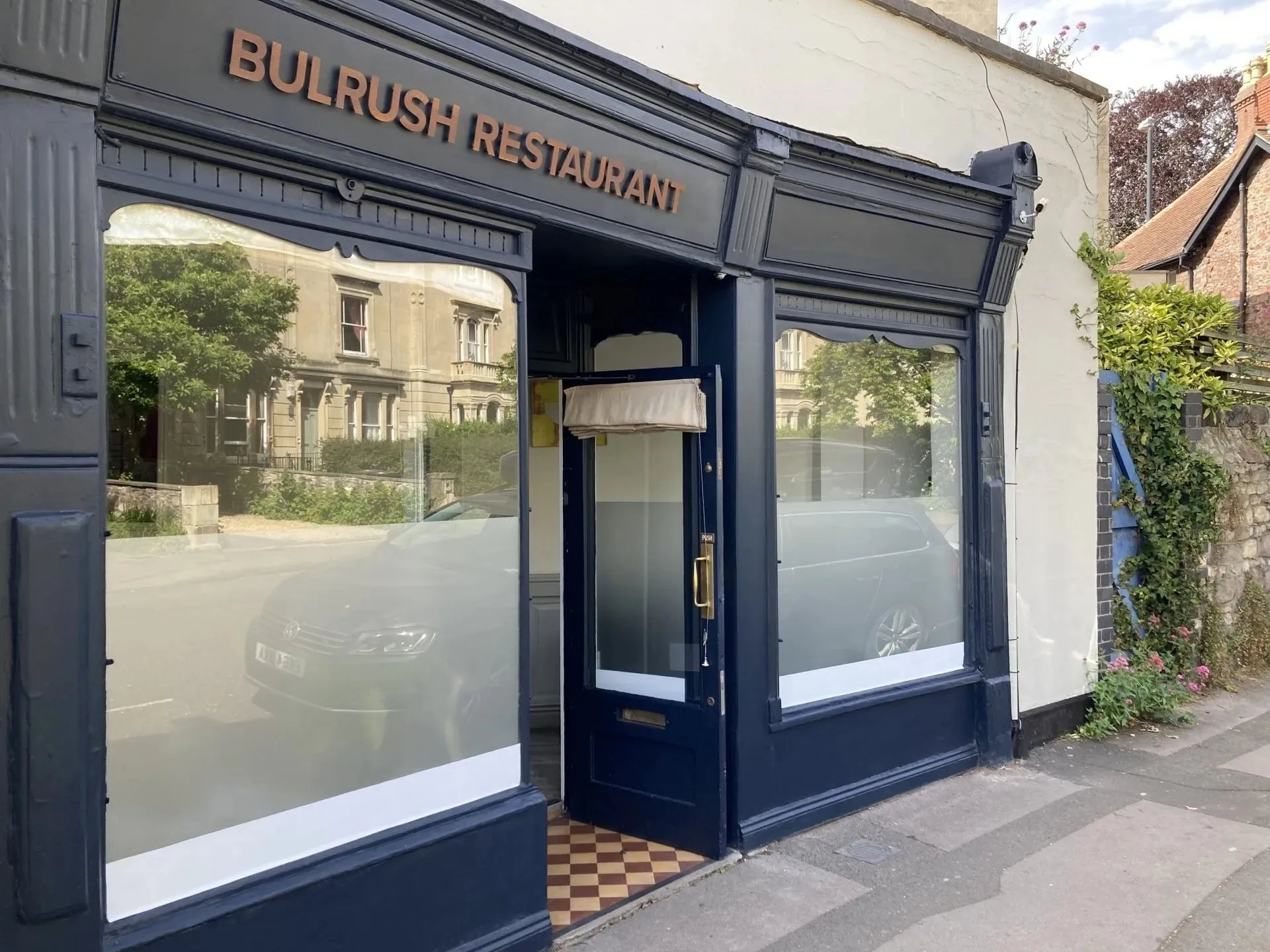 Bulrush — photo 7