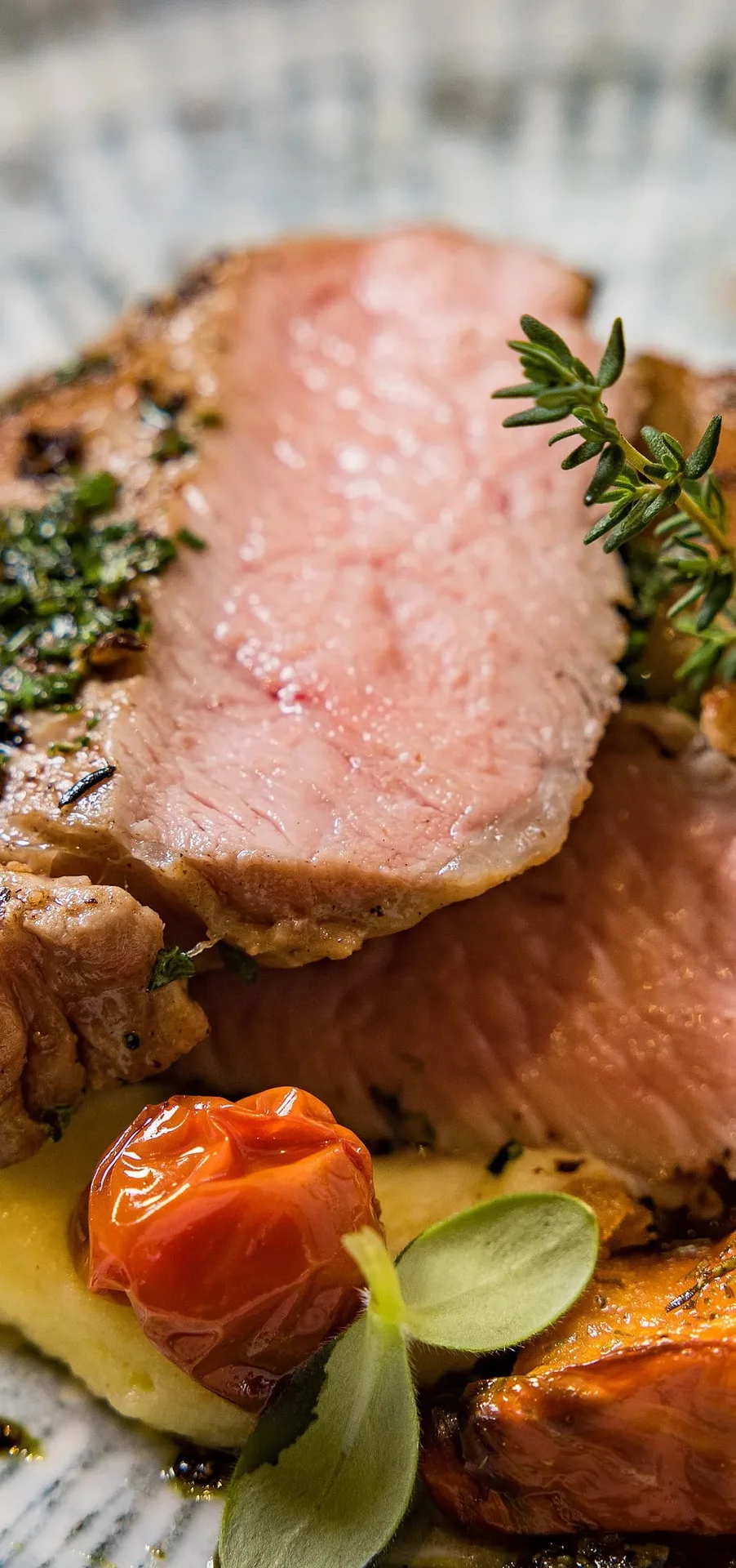 NESTER — photo 7