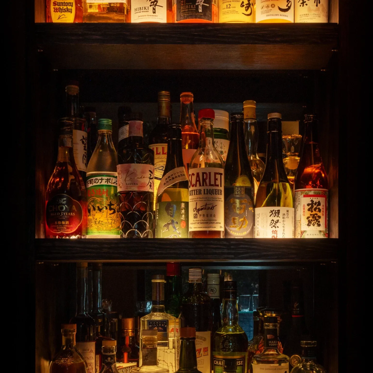 Kuro — photo 8
