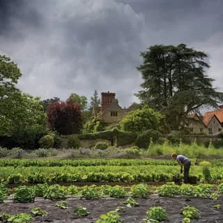 Le Manoir aux Quat'Saisons — photo 9