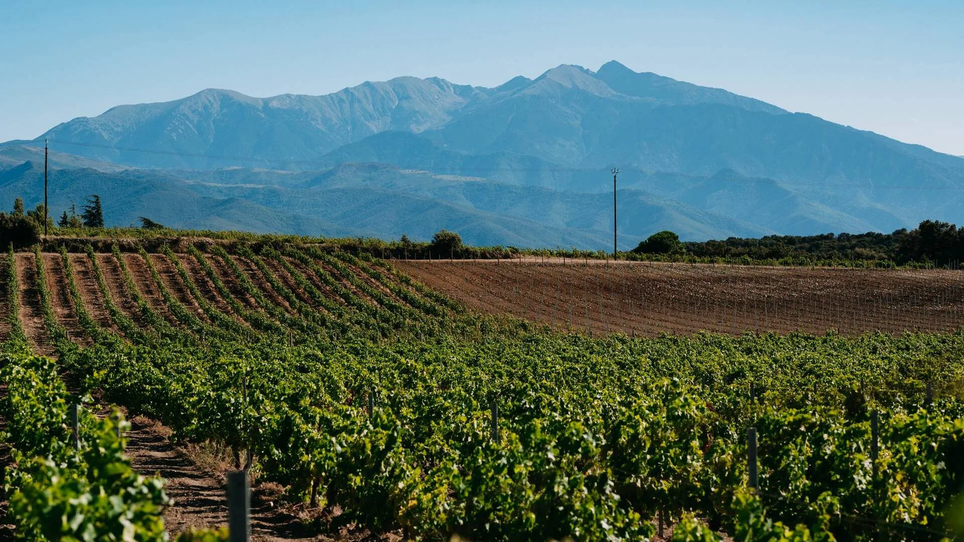 La Coopérative - Domaine Riberach — photo 5