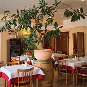 Ristorante Italiano da Cono — photo 18
