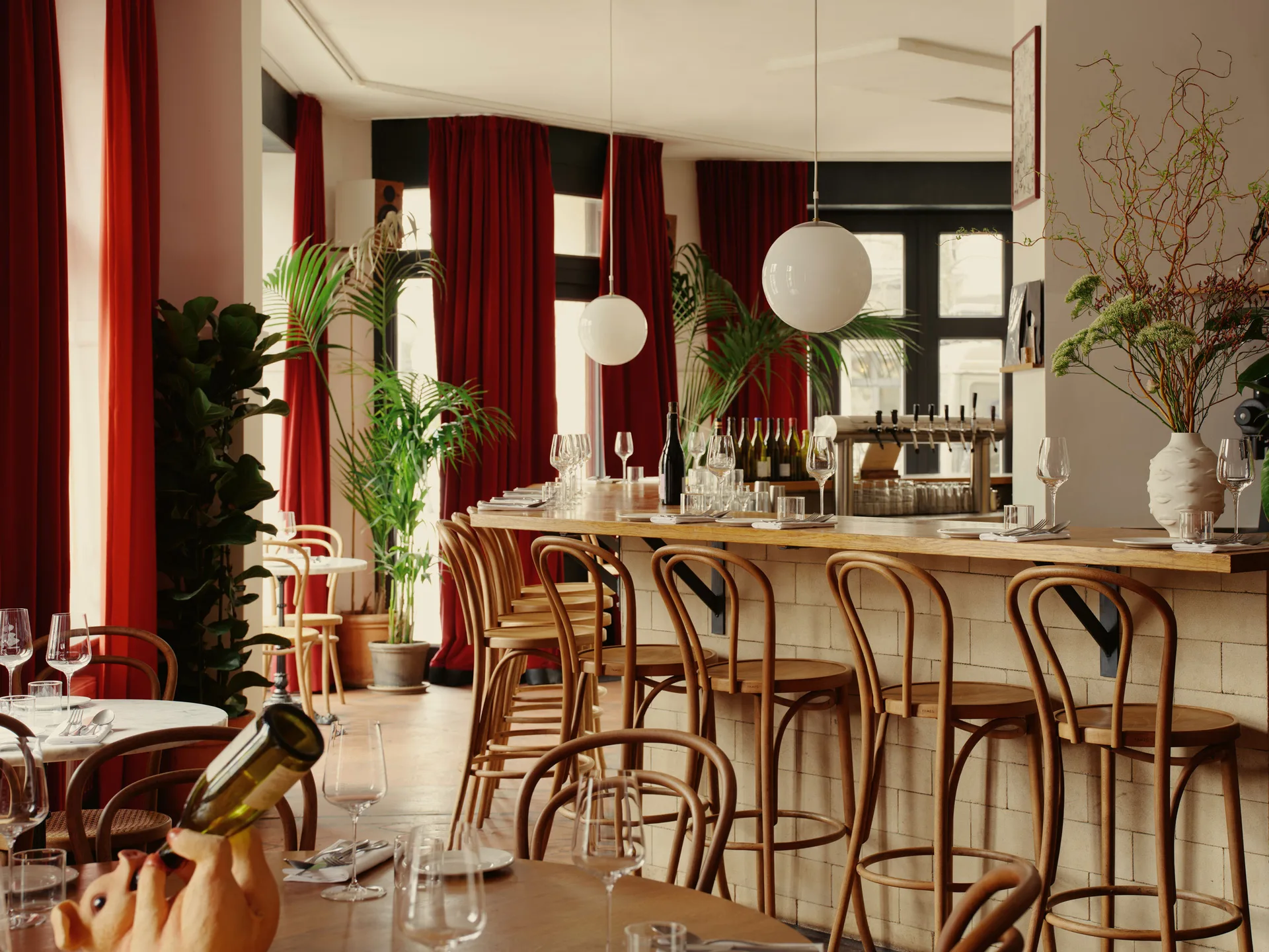 Café Frieda — photo 31
