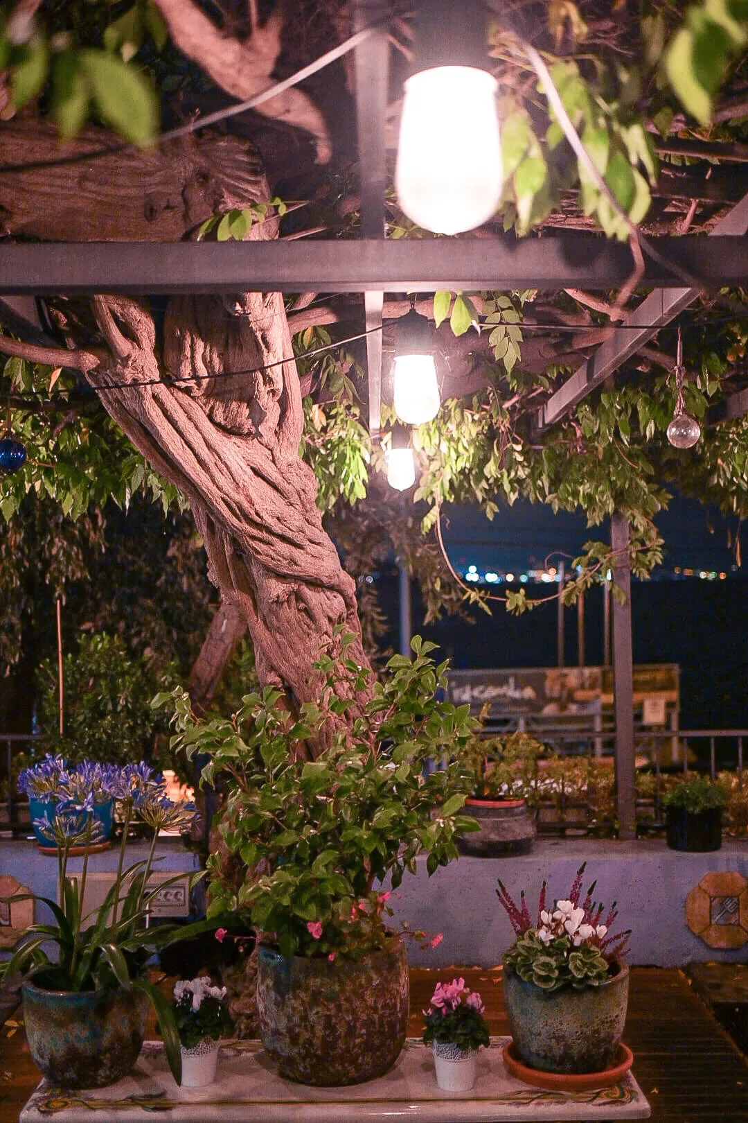 Ostaria Veranda — photo 109